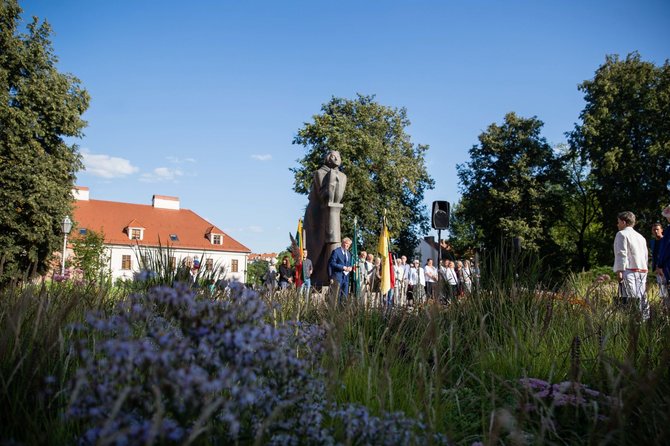 Josvydo Elinsko / 15min nuotr./Mitingas prie Mickevičiaus paminklo