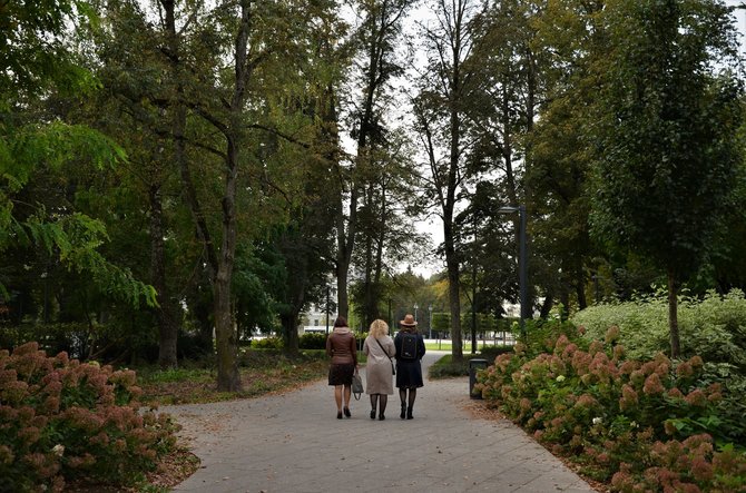 Beatričės Bankauskaitės nuotr./Lukiškių aikštė