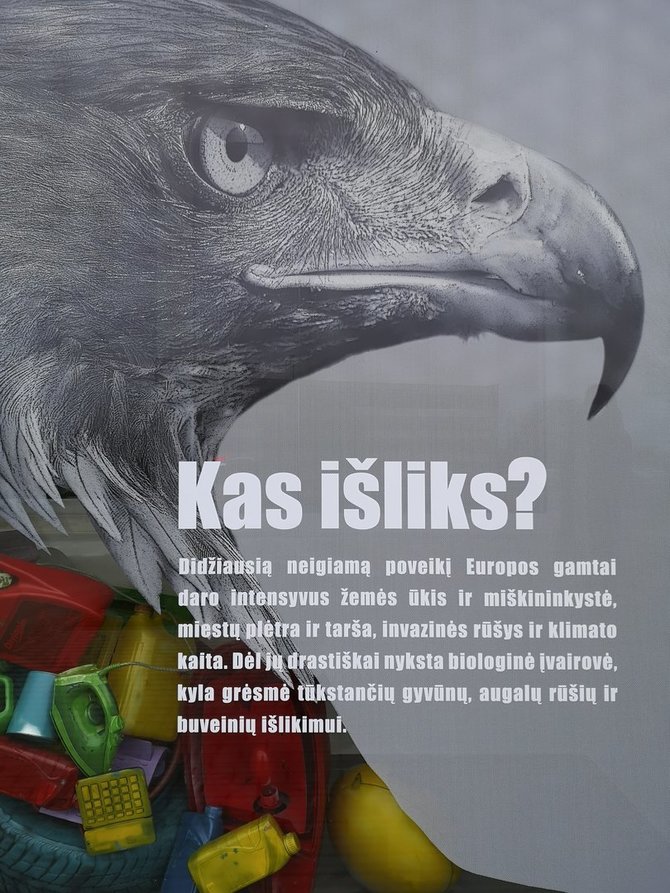 Žalvario nuotr./Vizualizuota Kauno vitrina – „Kas išliks?“