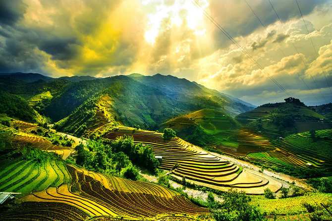 Shutterstock nuotr./Mu Cang Chai regiono ryžių terasos, Vietnamas