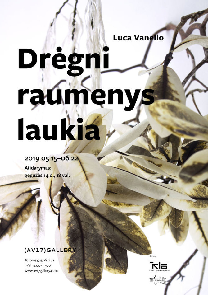 Organizatorių nuotr./Luca Vanello „Drėgni raumenys laukia“