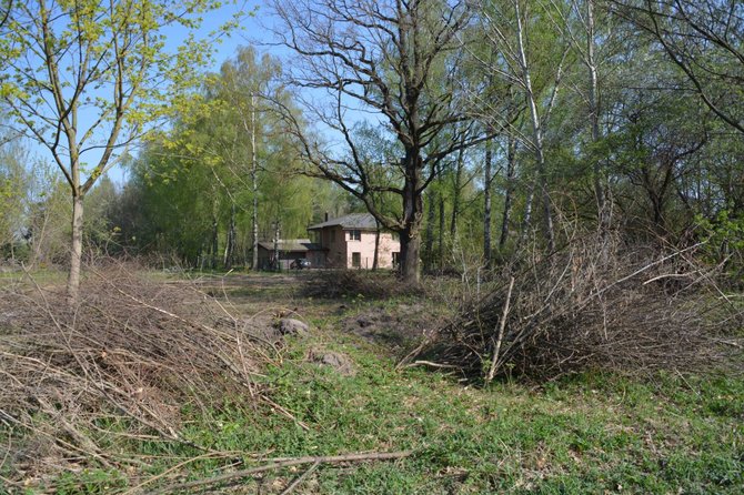 15min skaitytojo nuotr./Aukštųjų Šančių ąžuolynas