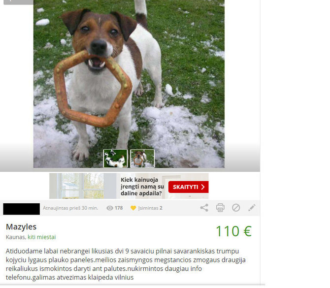 15min fotomontažas/Teisėsaugai žinoma kaunietė internete ir toliau prekiauja šuniukais