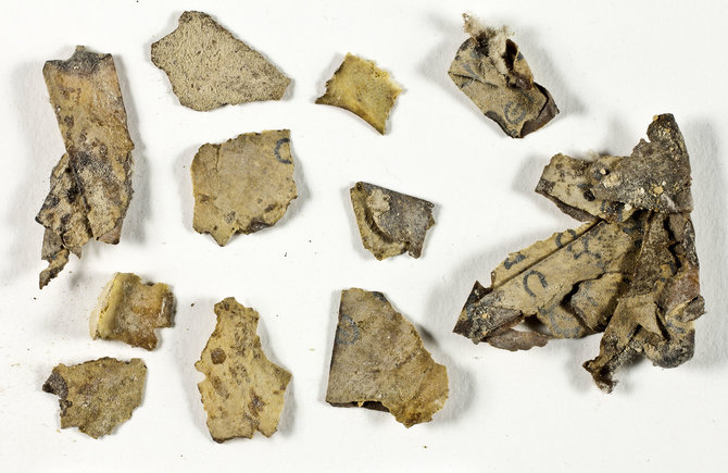 Shau Halevi/Izraelio senienų tarnybos nuotr./Izraelyje atrasti 2 000 metų senumo biblinio rankraščio fragmentai