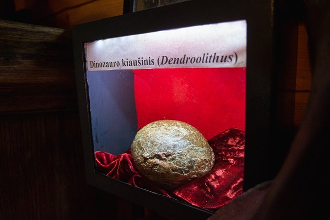 Rimvydo Ančerevičiaus nuotr./Dinozauro kiaušinis padėtas garbingoje vietoje ir specialiai įrengtame seife