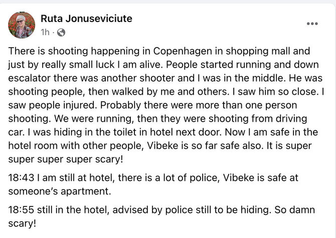 Facebook ekrano nuotr./Kopenhagoje esančios Rūtos žinutė feisbuke