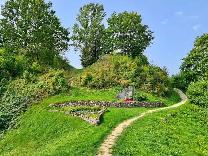 D.Pankevičiaus nuotr./Sumušk savo žingsnių rekordus Miško take