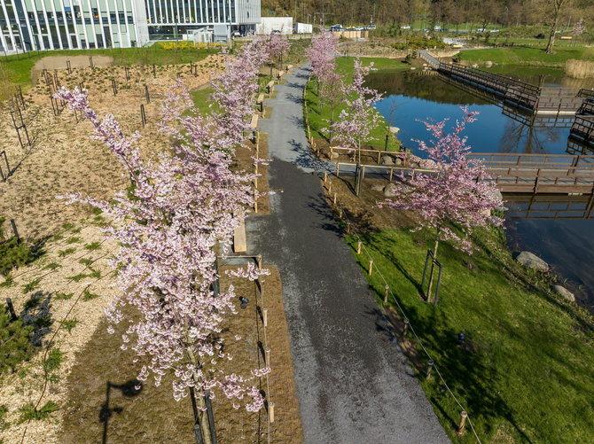 Vilniaus m. sav. nuotr./Japoniškas sodas Vilniuje