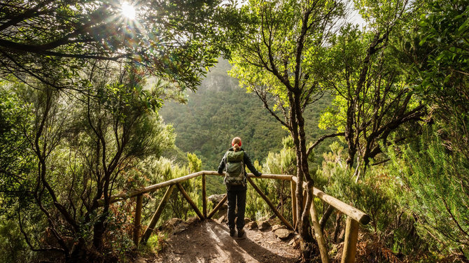 Shutterstock nuotr./Madeira 