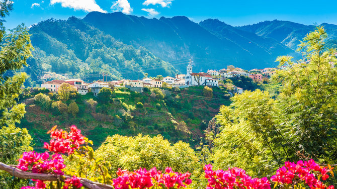 Shutterstock nuotr./Madeira 