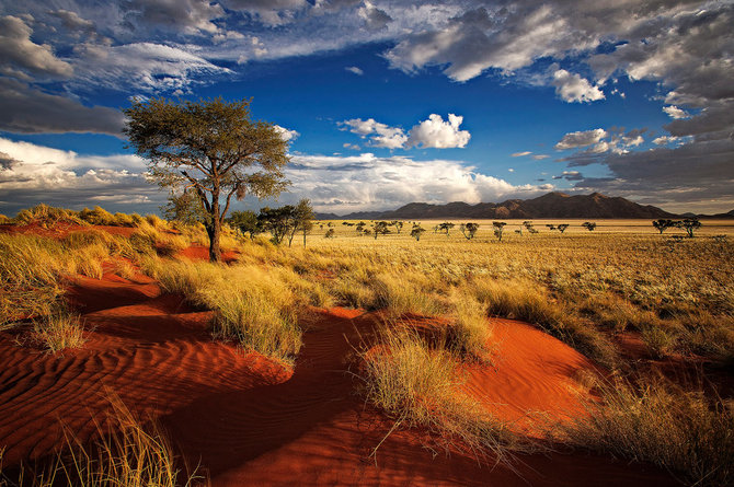 Shutterstock nuotr./Namibija