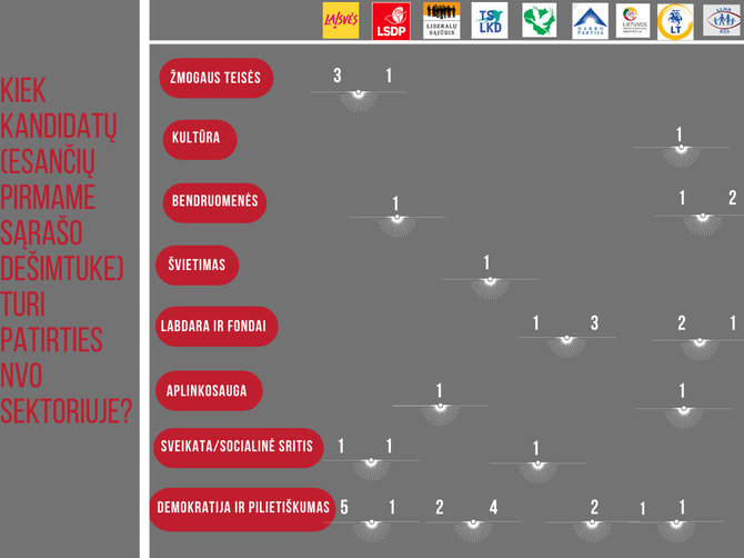 „Atviros Lietuvos fondo“ nuotr./Kas yra nevyriausybinė organizacija?