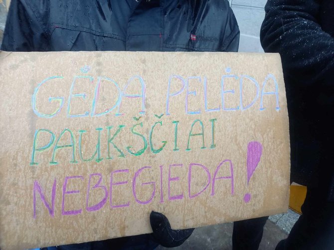 G.Kapsevičiaus nuotr./Aplinkosaugininkų protestas