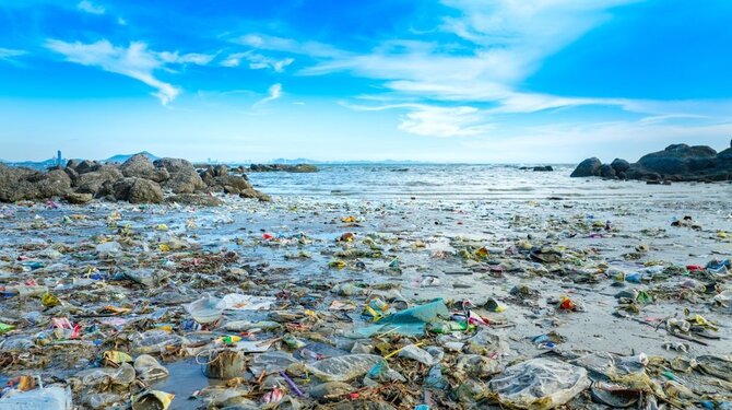 Shutterstock nuotr./Plastikas jūroje