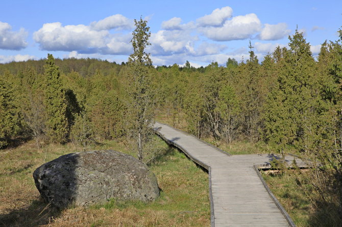 V. Kandroto nuotr./Šauklių riedulynas