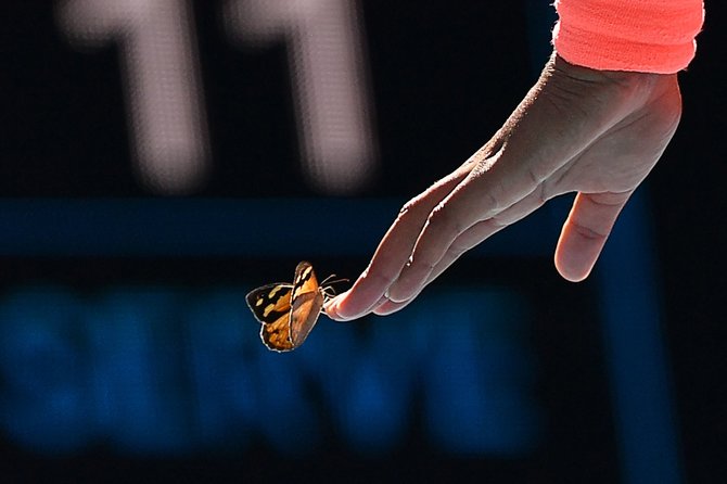 „Scanpix“ nuotr./Naomi Osaka ir ant jos nutūpęs drugelis