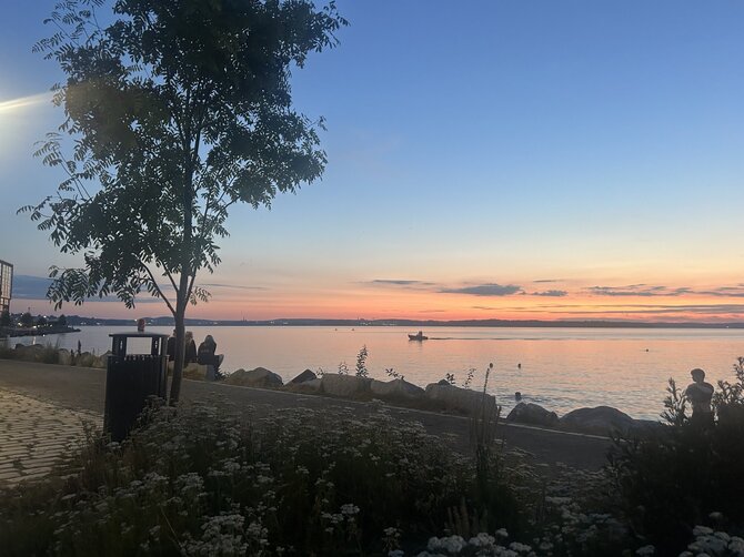 Saulės Kubiliūtės nuotr./Näsijärvi ežeras
