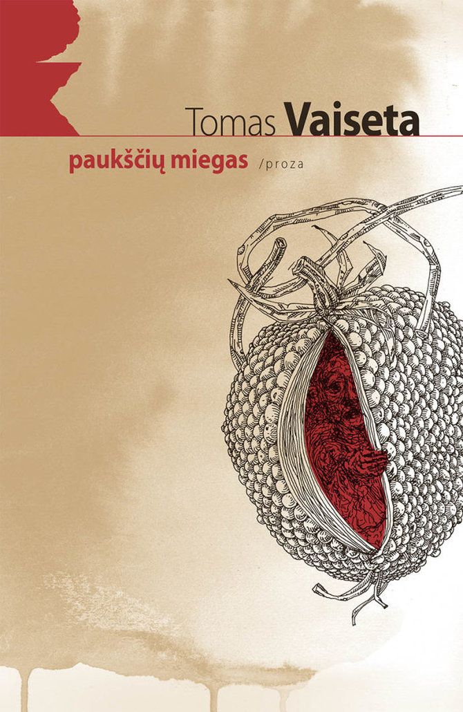 Knygų viršelis/Tomas Vaiseta „Paukščių miegas“