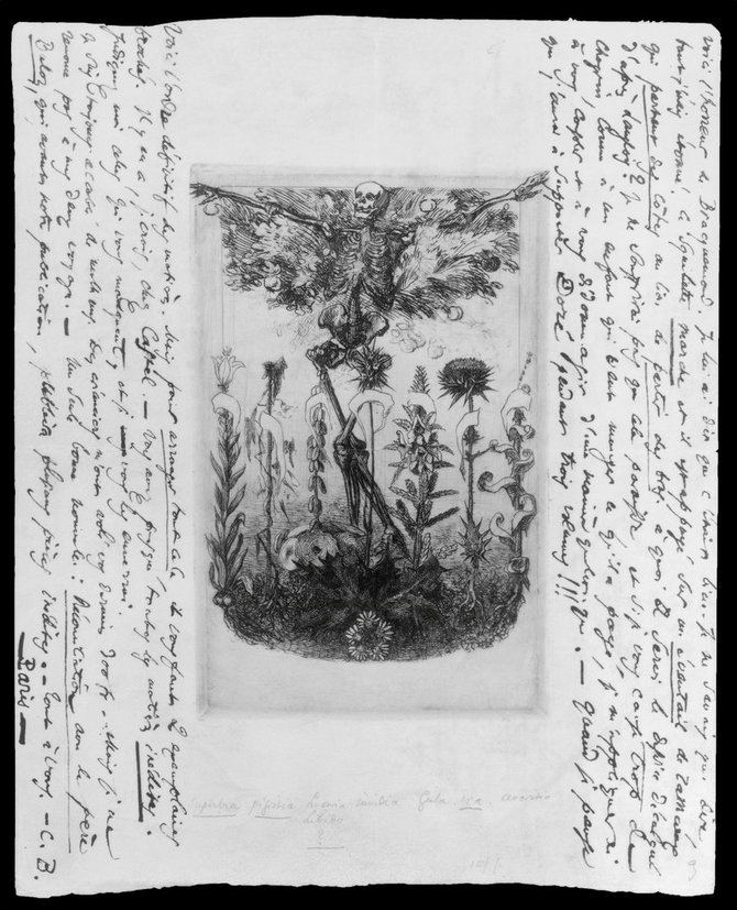 „Scanpix“ nuotr./Fragmentas iš Charles'io Baudelaire'o kūrinio „Piktybės gėlės“, 1860 m.