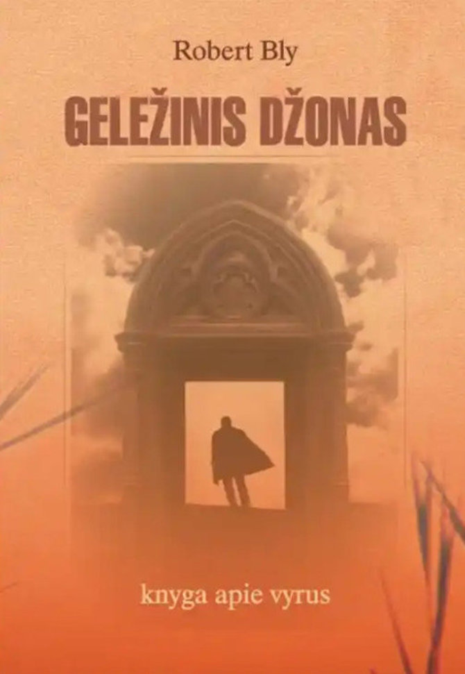 Knygos viršelis/Roberto Bly „Geležinis Džonas“ 