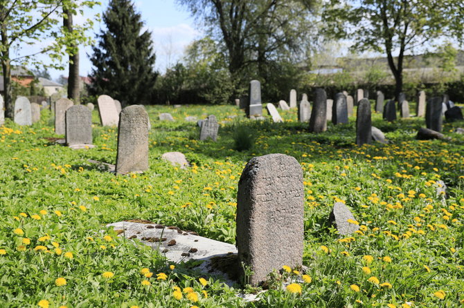 Žydų kapinės / V.Kandroto nuotr.