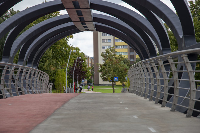 Ernestos Čičiurkaitės / 15min nuotr./Jonava