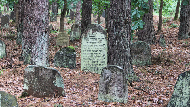 Karolinos Savickytės nuotr./Senosios žydų kapinės Merkinėje.