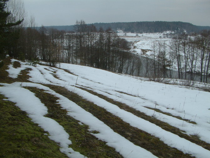 Mindaugo Lapelės nuotr./Gyvulių takeliai