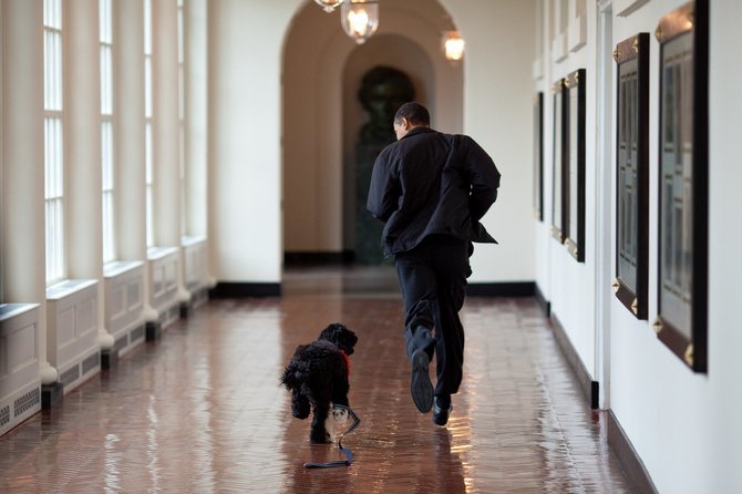 Pete Souza nuotr./Barackas su augintiniu Bo