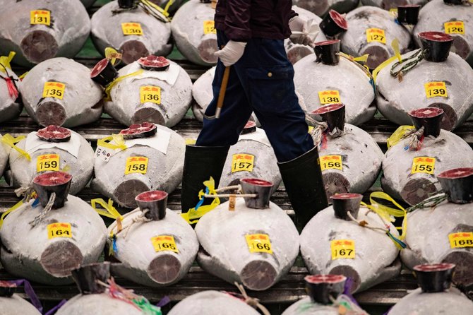 AFP/„Scanpix“ nuotr./Tuno aukcijonas Japonijoje