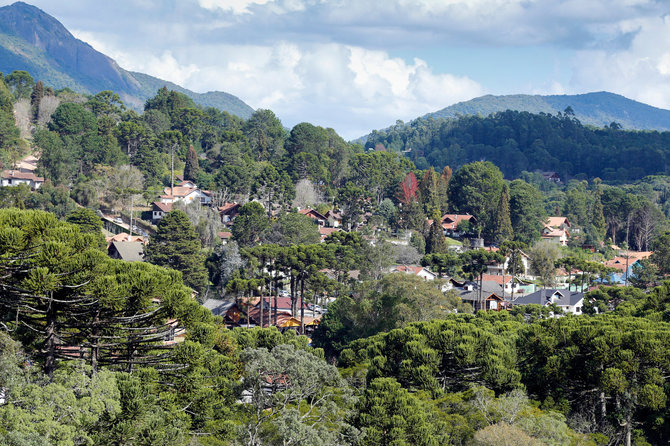 123RF.com nuotr./Monte Verdė, Brazilija