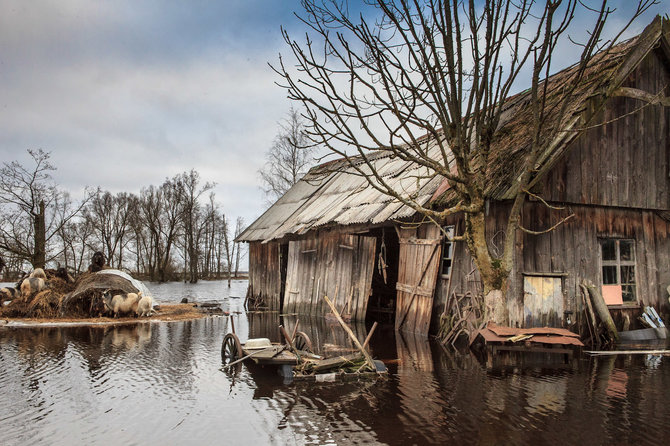 Baltijos aplinkos forumo nuotr./Žalgirių kaimas pavasario potvynio metu