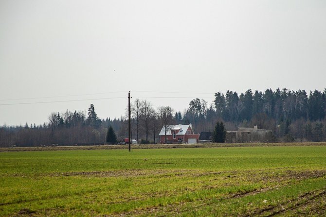 Živilės Večiorkutės / „Jūsų Panevėžys“ nuotr./Ramų Panevėžio rajono sodininkų gyvenimą sudrumstė būsimas smėlio karjeras