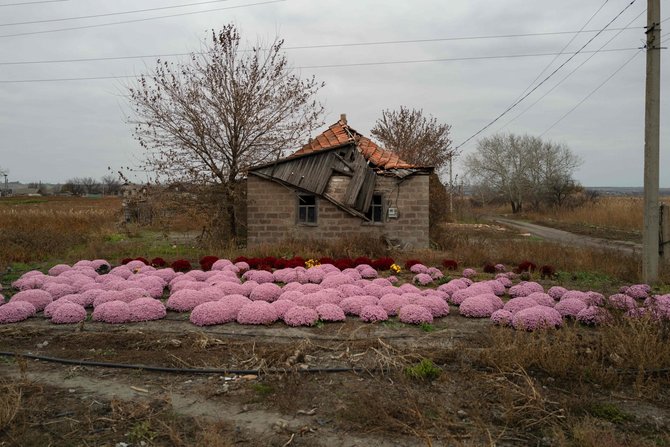 Ukrainos kaimas / FLORENT VERGNES / AFP