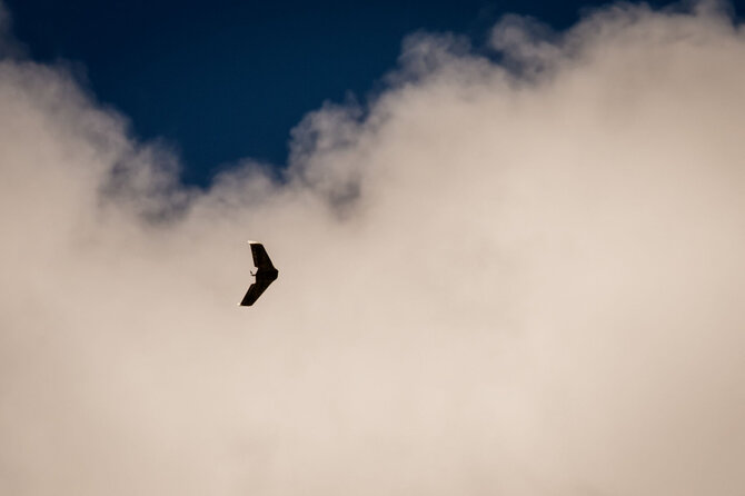 AFP/ „Scanpix“/Dronas