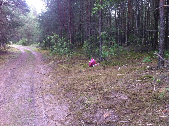 WRC palikimas Lietuvoje