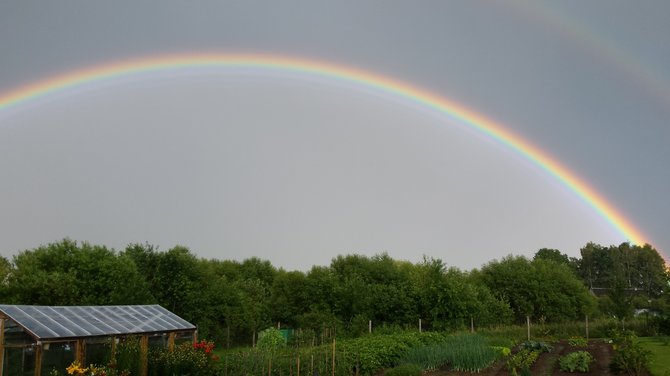 Vaivorykštė Šlienavoje, Kauno r.