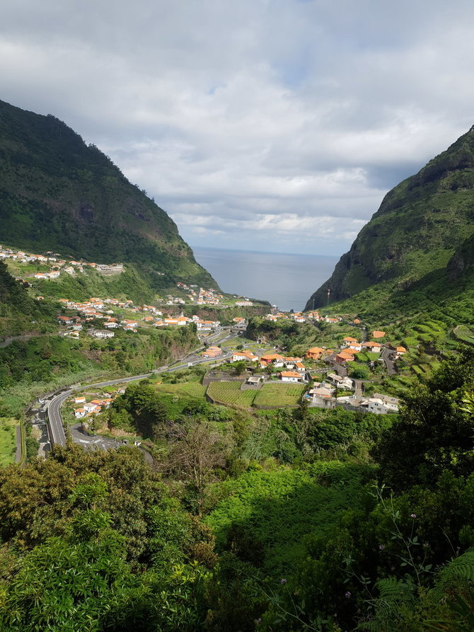 Asmeninio albumo nuotr./Madeiros gamtovaizdžiai užburia