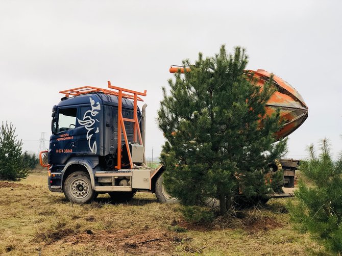 UAB „Projektų pasaulis“ arch. nuotr./Didelių medžių sodinimas