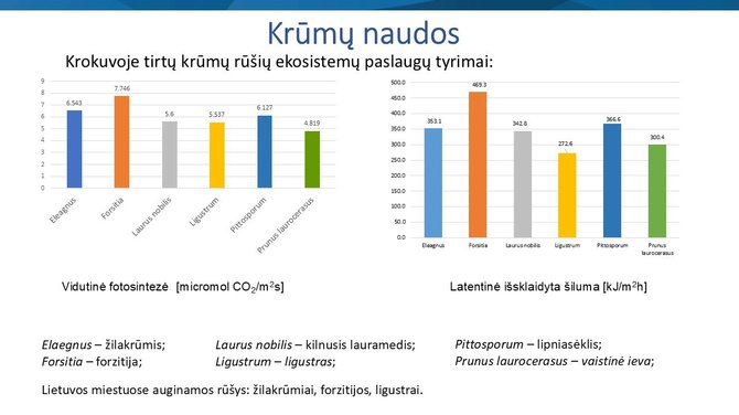 Organizatorių arch. skaidrė/Krūmų teikiama nauda