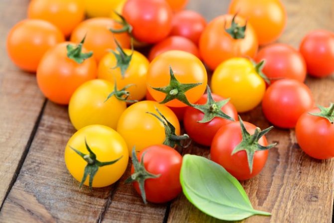Fotolia nuotr./Pomidorai
