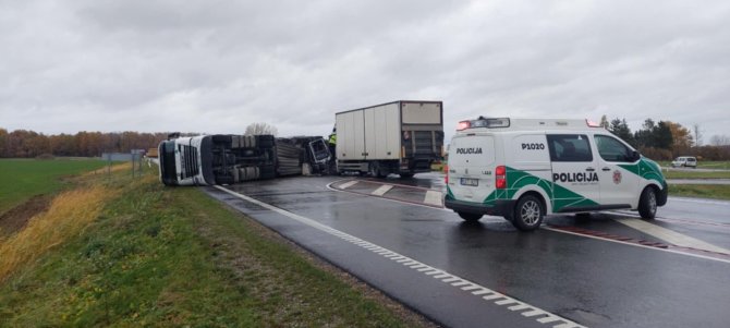 Panevėžio VPK nuotr./Įvykio vietoje