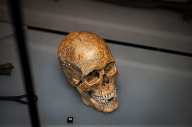 S.Samsono nuotr. / Lietuvos nacionalinis muziejus/Parodoje „Kijevo Rusia. Pradžia“ eksponuojama vikingo kaukolė su dildytais dantimis