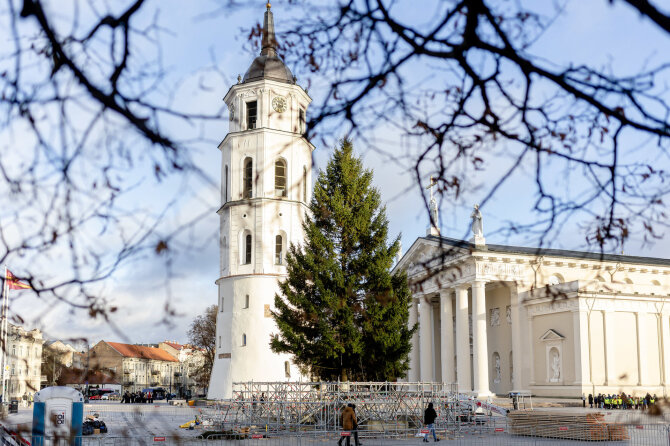 Lukas Balandis / BNS nuotr./Vilniaus Kalėdų eglė jau Katedros aikštėje