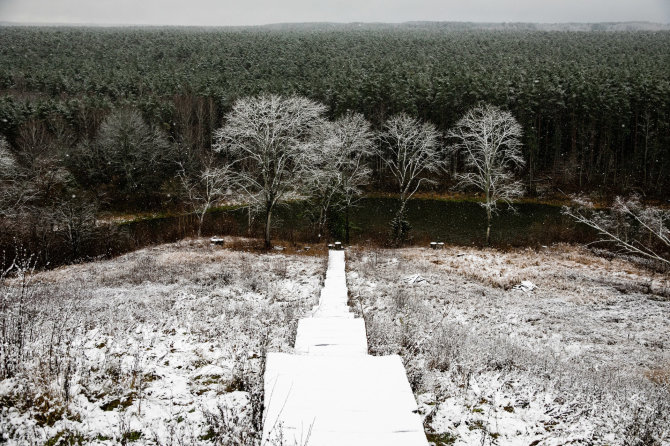 Juliaus Kalinsko / 15min nuotr./Lengva sniego paklotė apdengė Neries regioninį parką