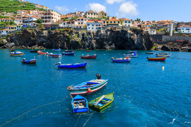 Madeira. Shutterstock nuotr.
