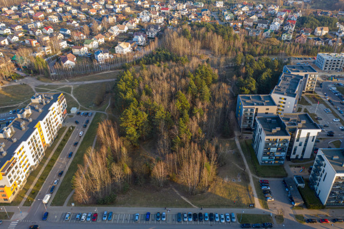 Juliaus Kalinsko / 15min nuotr./Miškelis šiaurinėje Pilaitės dalyje