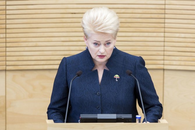 Irmanto Gelūno / 15min nuotr./Prezidentė Dalia Grybauskaitė skaito metinį pranešimą
