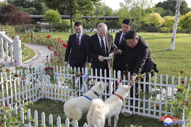 „Scanpix“/AP nuotr./Vladimiras Putinas, Kim Jong Unas ir pungsanų veislės šunys