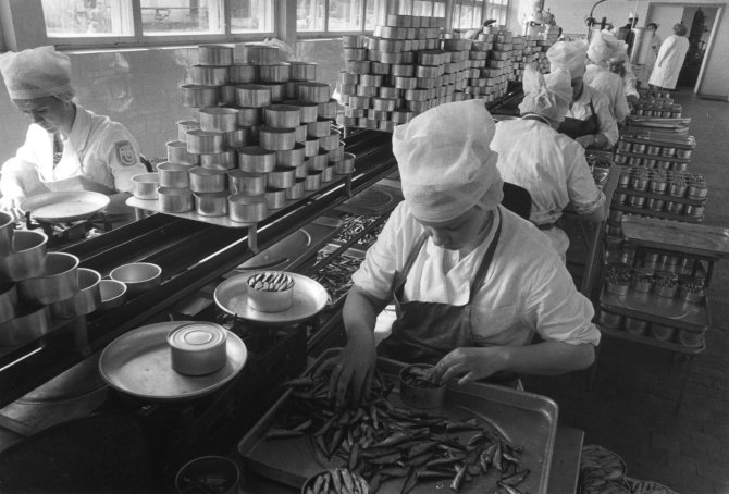 „Scanpix“ nuotr./Šprotų konservų gamyba Estijoje (1966 m.)